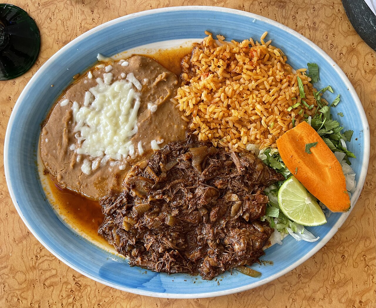 Birria Plate